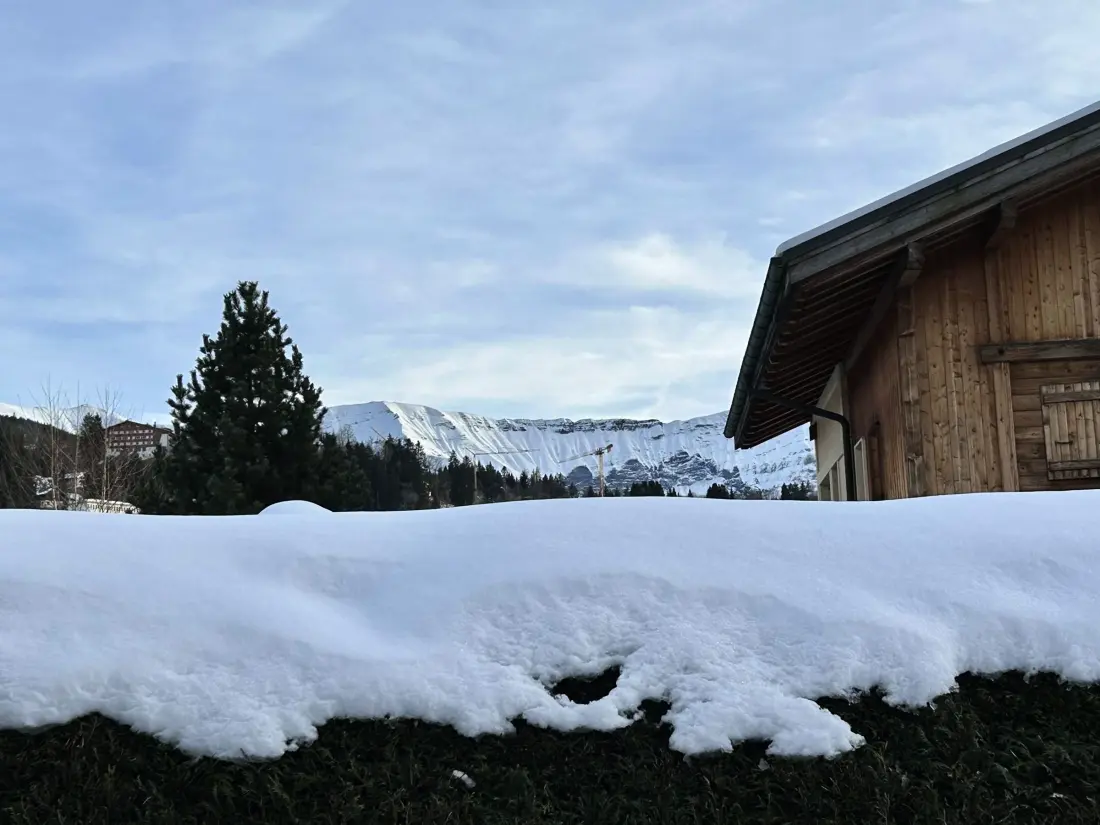Location de Vacances Demi-Quartier 31