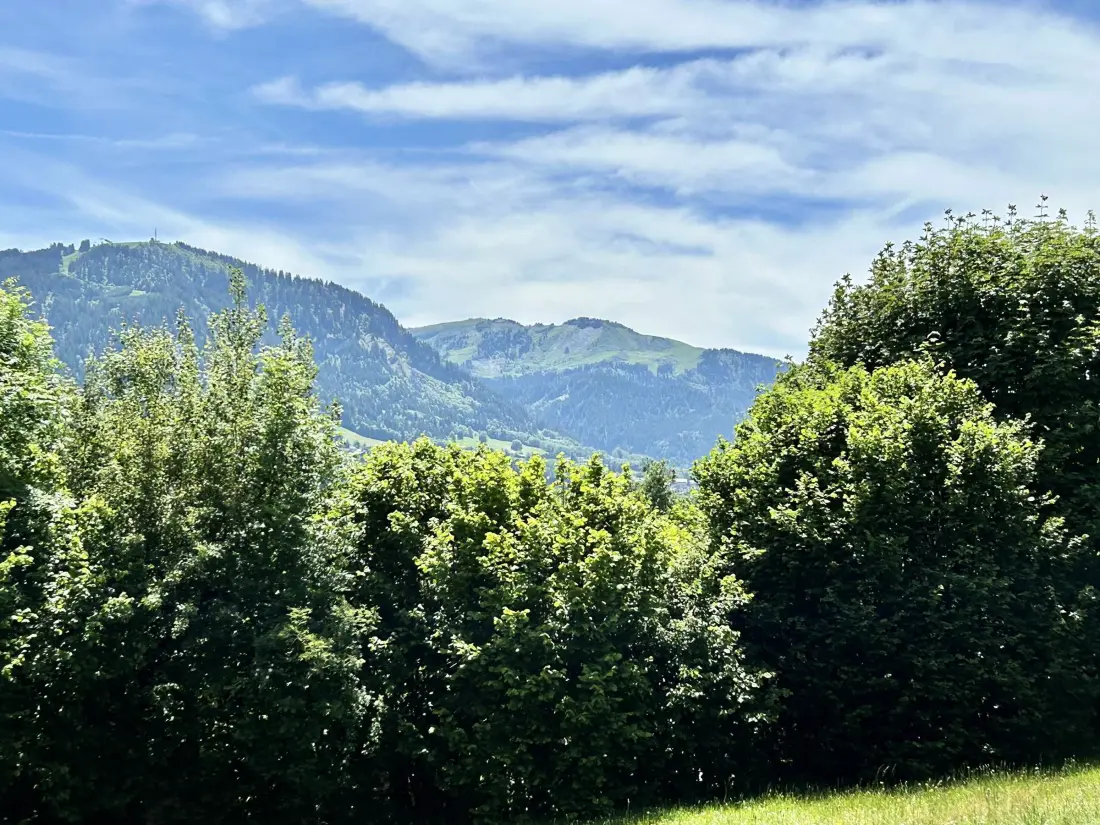 Location de Vacances Demi-Quartier 35