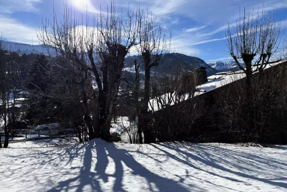 Terrasse Du Front De Neige