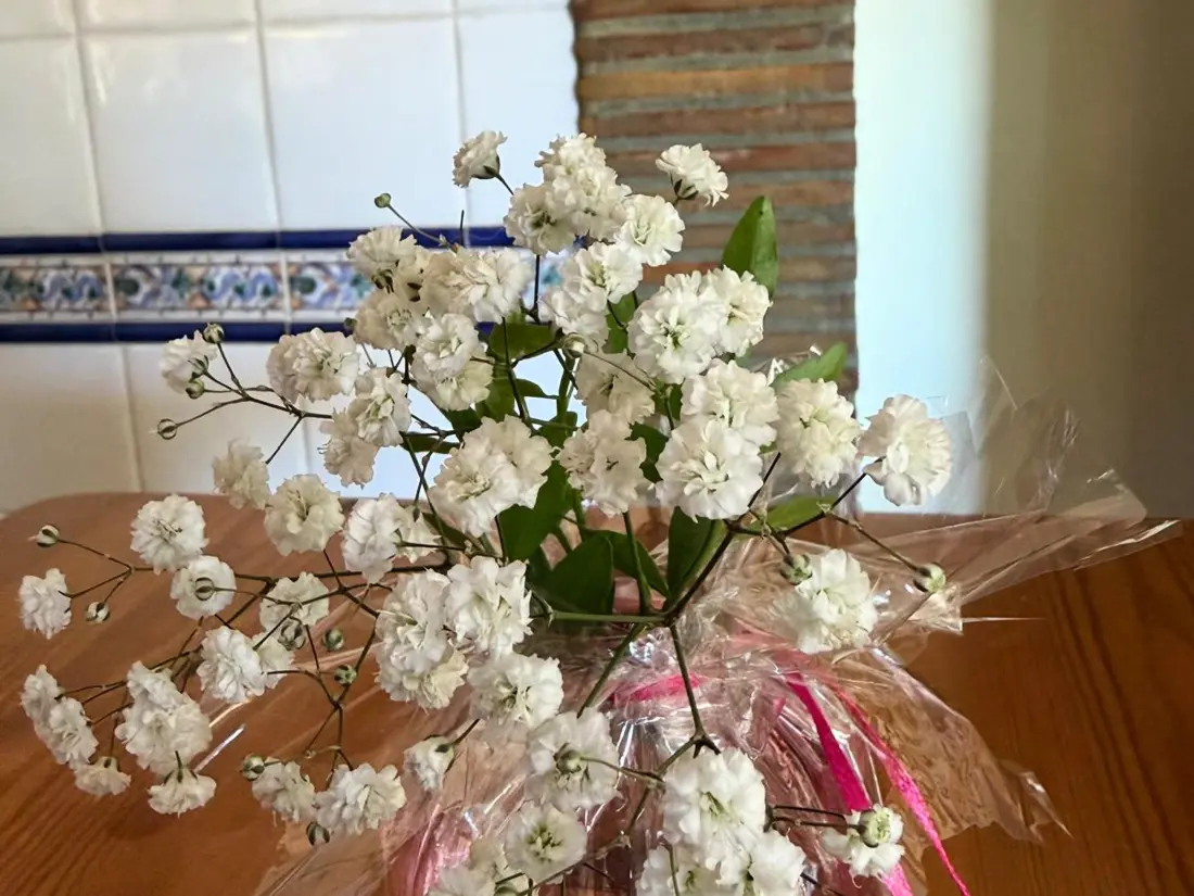 Location de Vacances Dénia 838