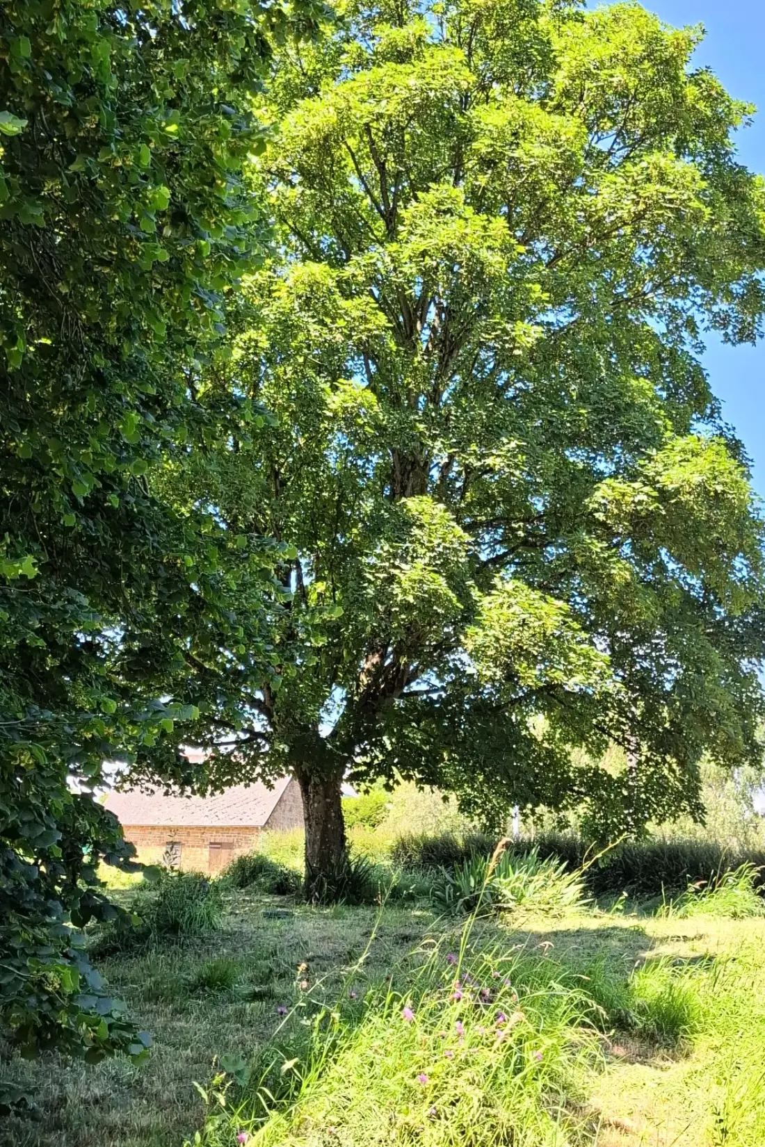 Maison de Vacances Denneville
