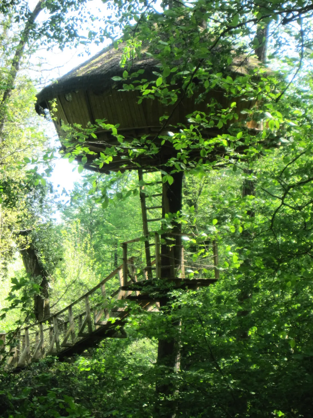 Parc de la Belle