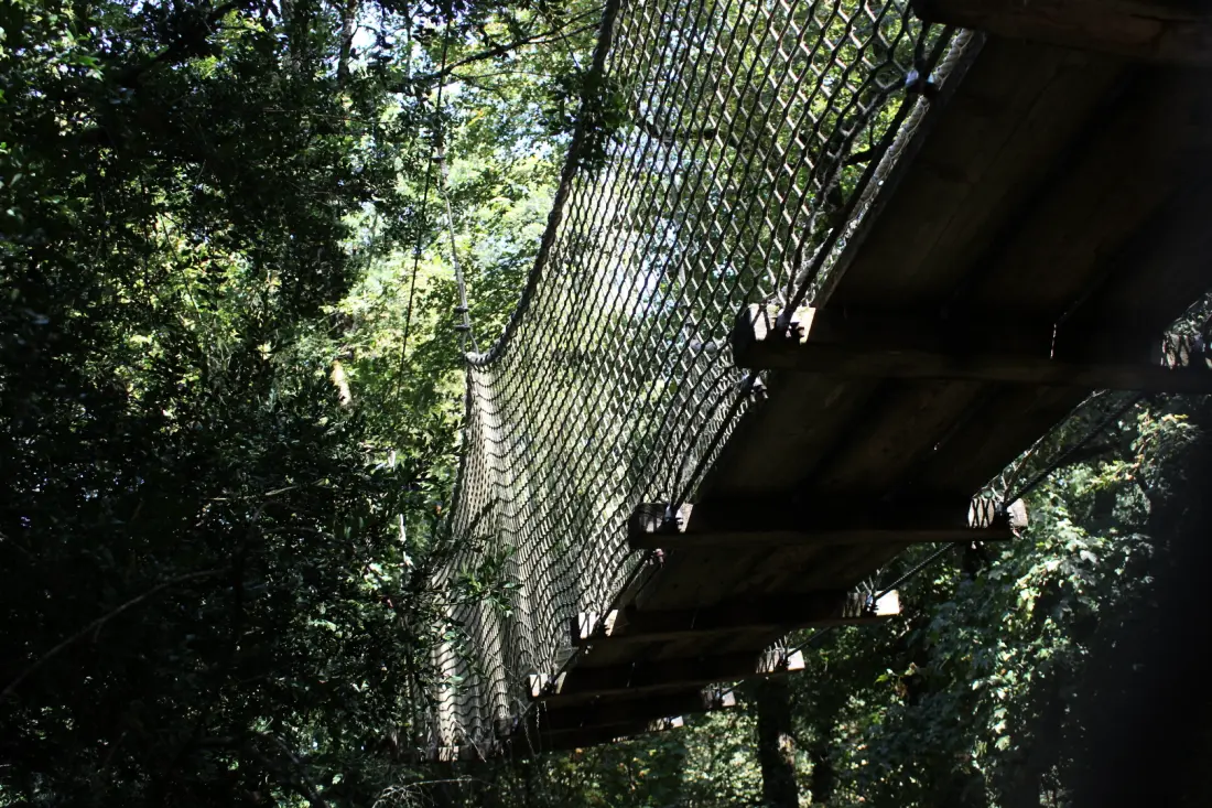 Parc de la Belle