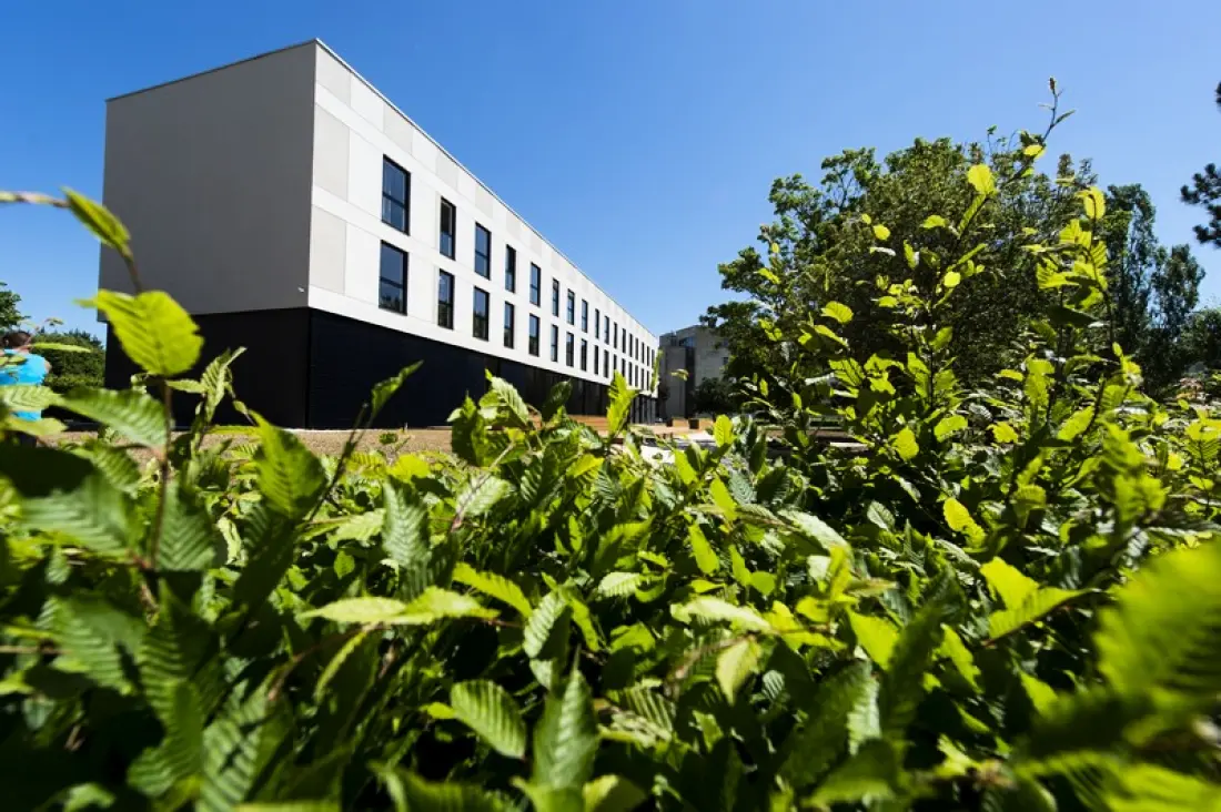 Résidence Adonis Dijon Maison Internationale