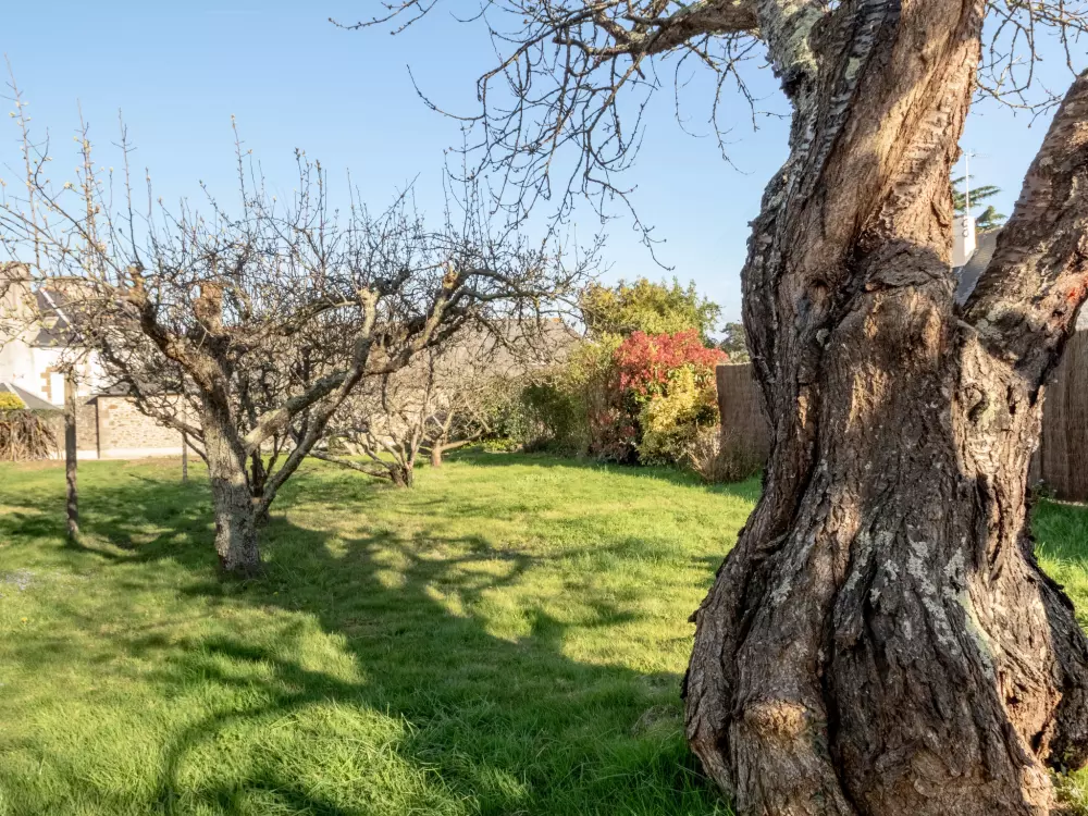 Maison de Vacances Dinard