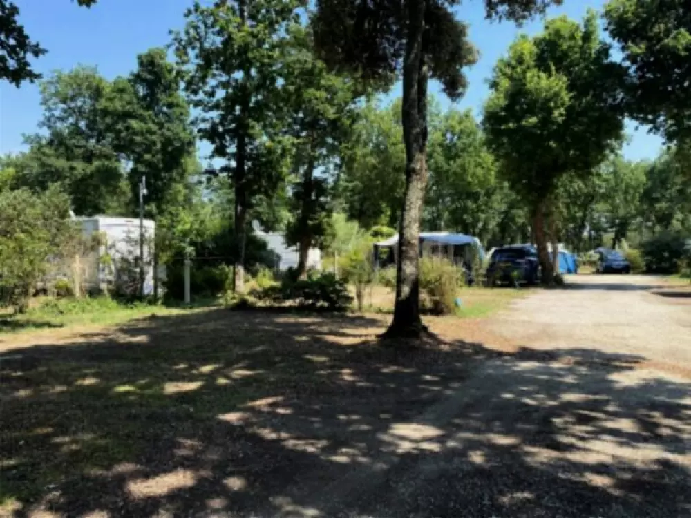 Camping Paradis La Cailletière 3 étoiles★★★