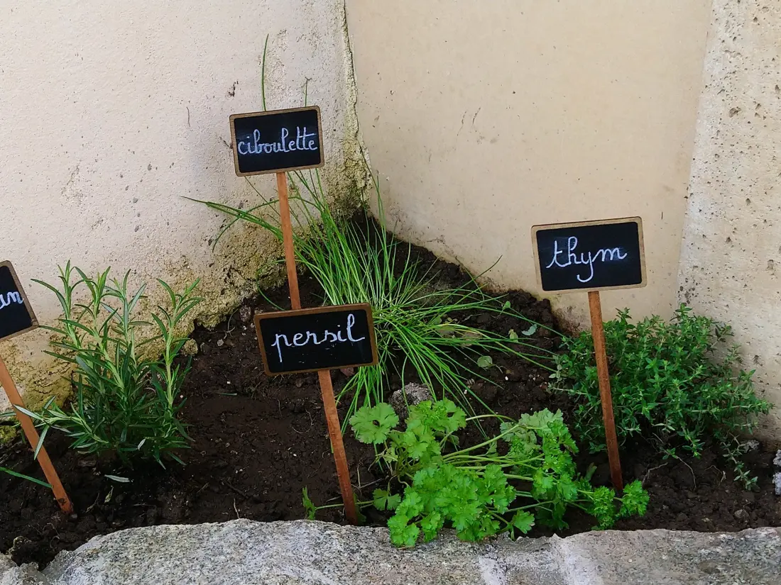 Maison de Vacances Donville-les-Bains 19