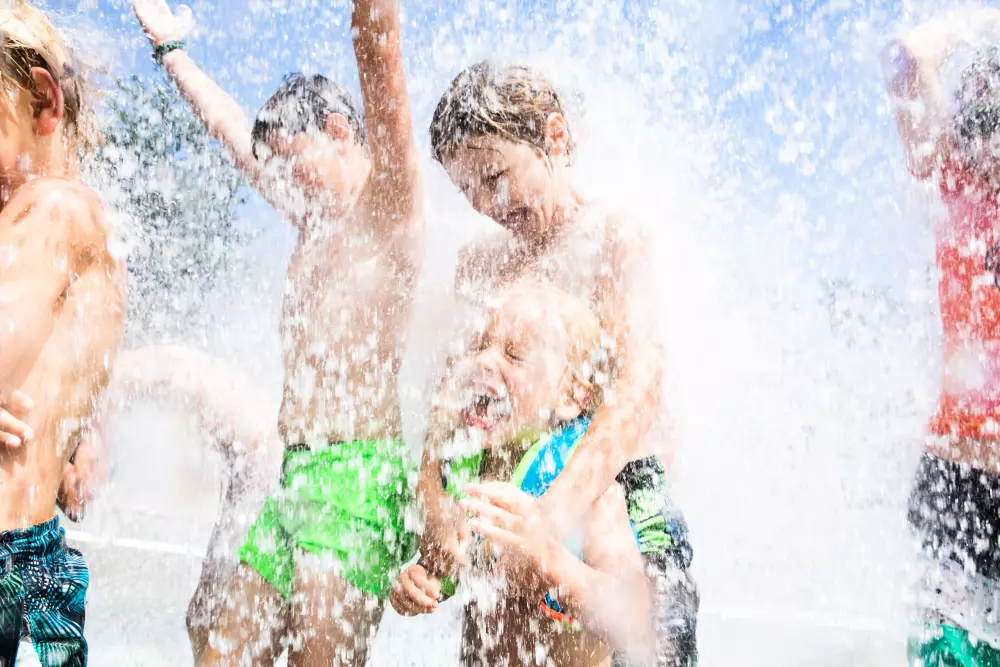 RCN Vakantiepark het Grote Bos 4 étoiles★★★★