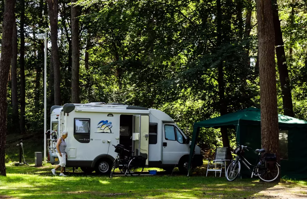 RCN Vakantiepark het Grote Bos 4 étoiles★★★★