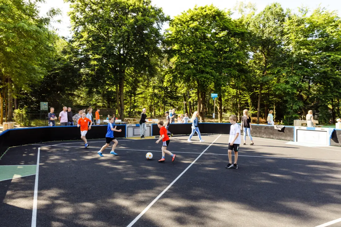 RCN Vakantiepark het Grote Bos 4 étoiles★★★★