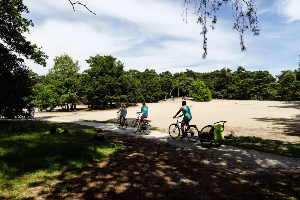 RCN Vakantiepark het Grote Bos 4 étoiles★★★★