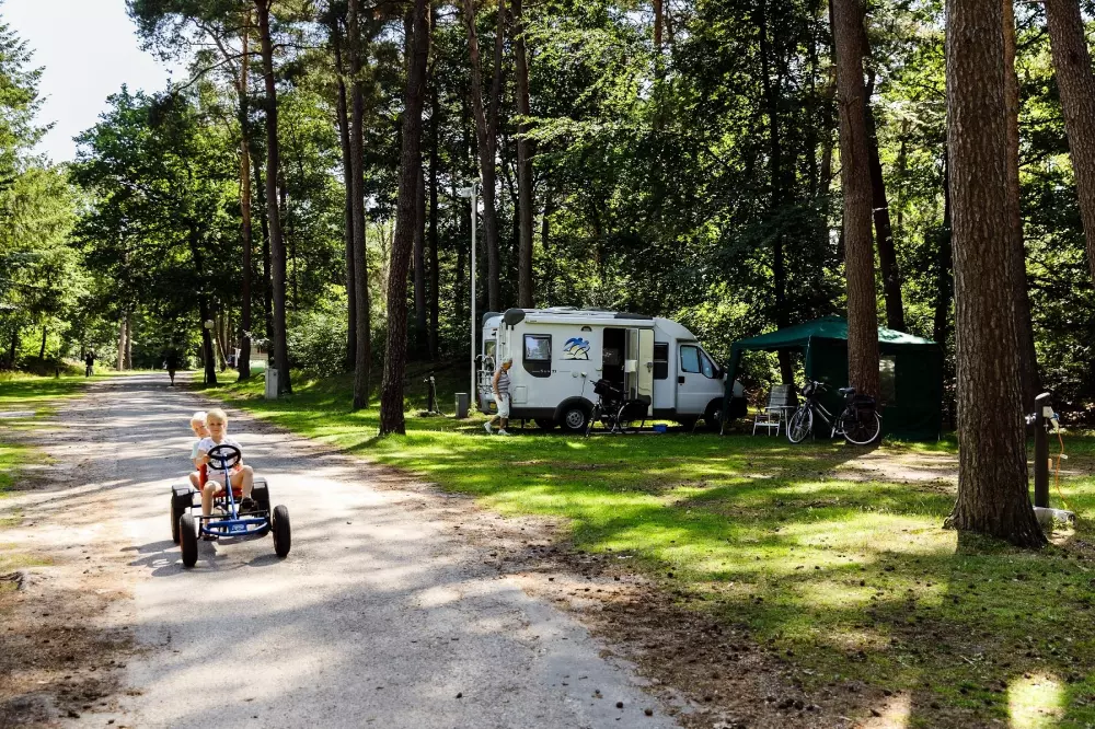 RCN Vakantiepark het Grote Bos 4 étoiles★★★★