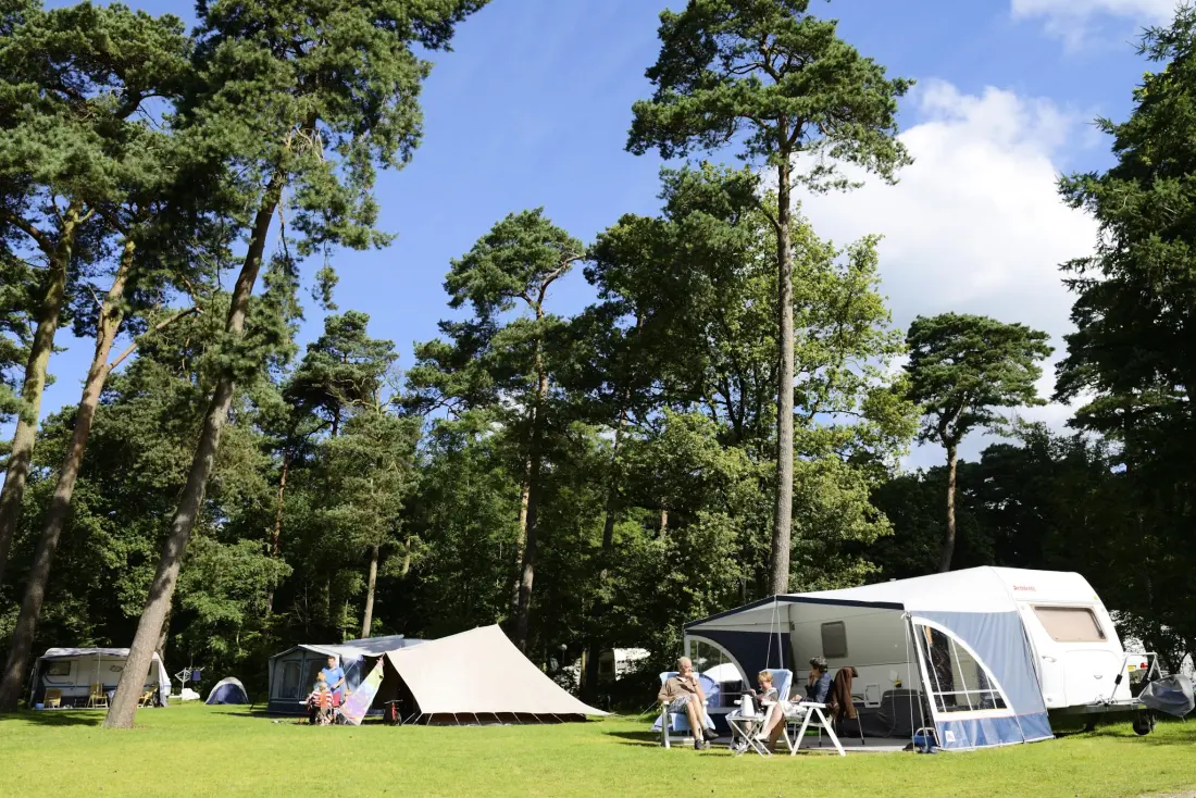 RCN Vakantiepark het Grote Bos 4 étoiles★★★★