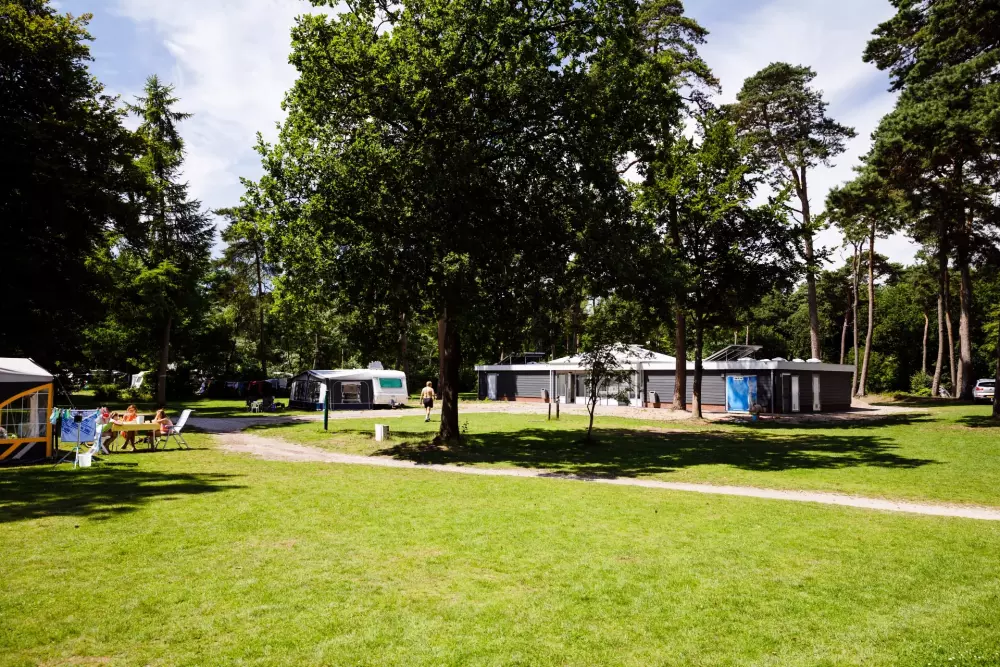 RCN Vakantiepark het Grote Bos 4 étoiles★★★★