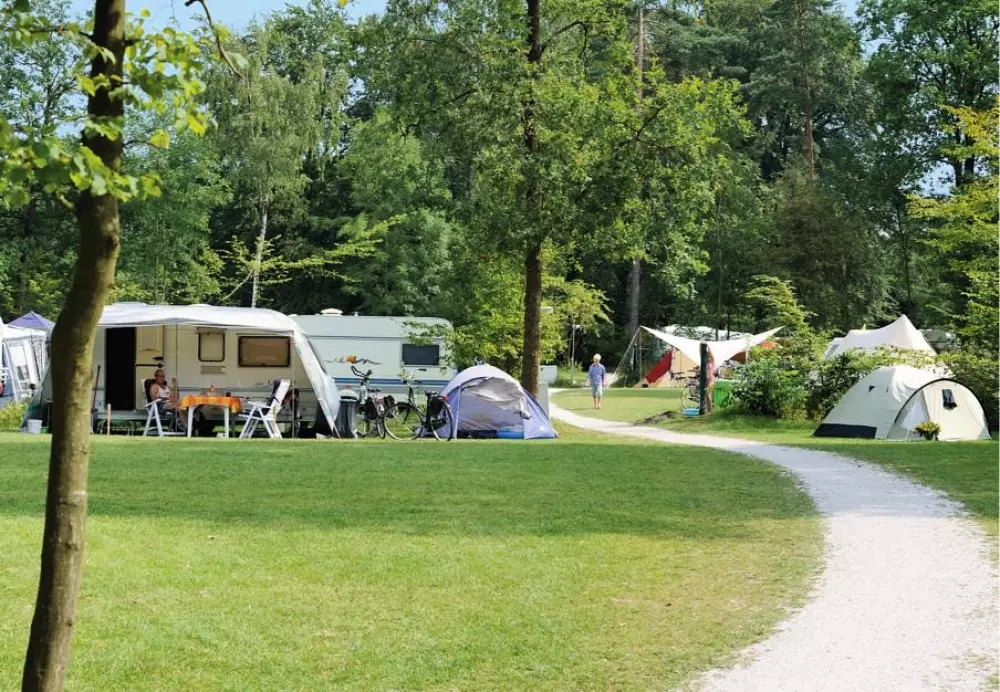 RCN Vakantiepark het Grote Bos 4 étoiles★★★★