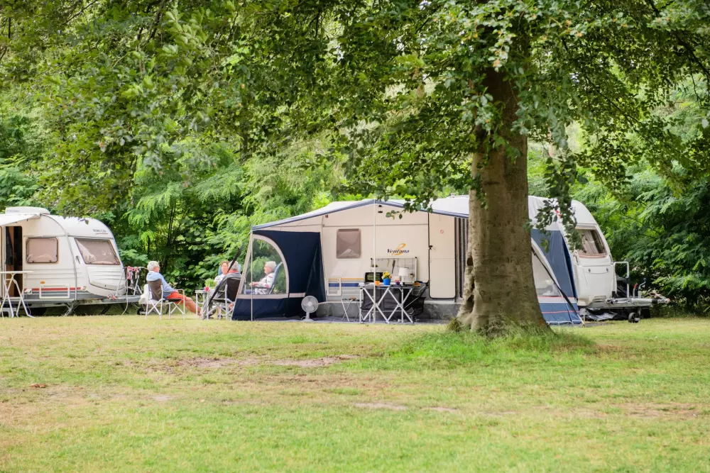 RCN Vakantiepark het Grote Bos 4 étoiles★★★★