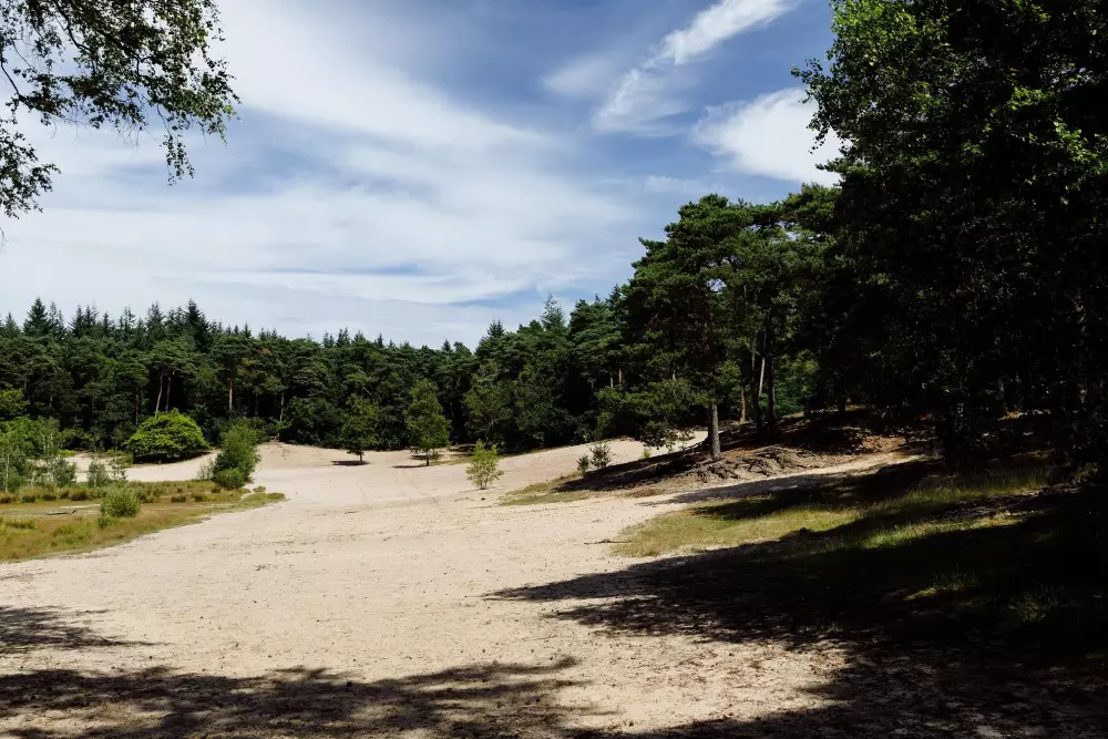 RCN Vakantiepark het Grote Bos 4 étoiles★★★★