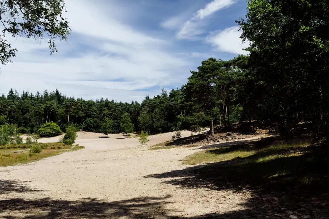 RCN Vakantiepark het Grote Bos 4 étoiles★★★★