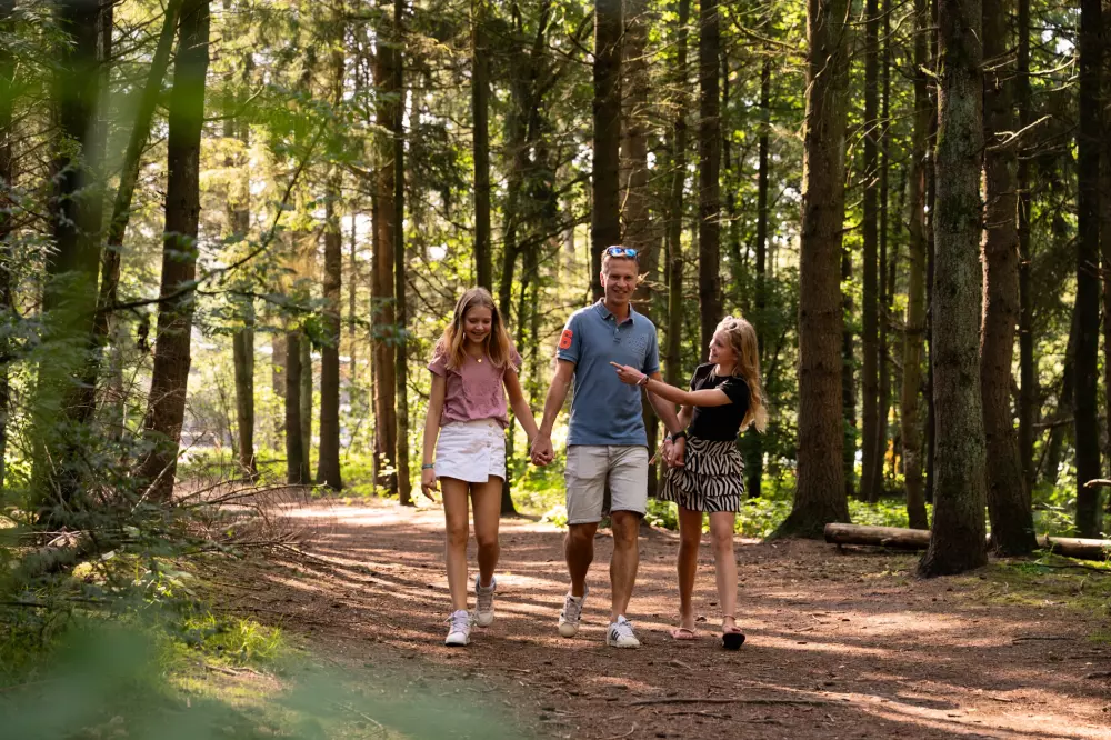 RCN Vakantiepark het Grote Bos 4 étoiles★★★★