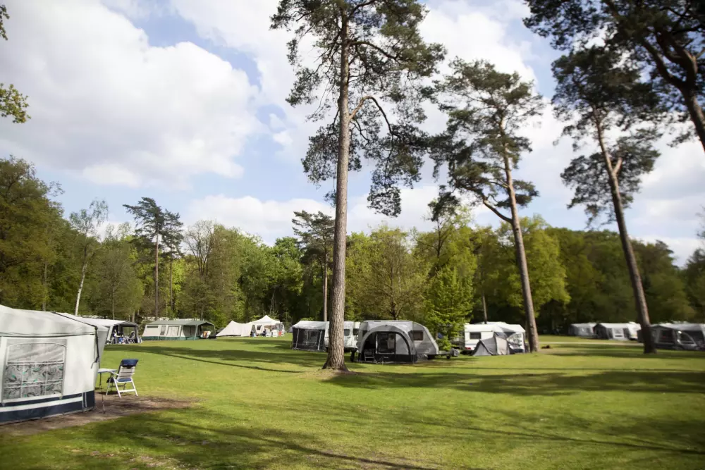 RCN Vakantiepark het Grote Bos 4 étoiles★★★★