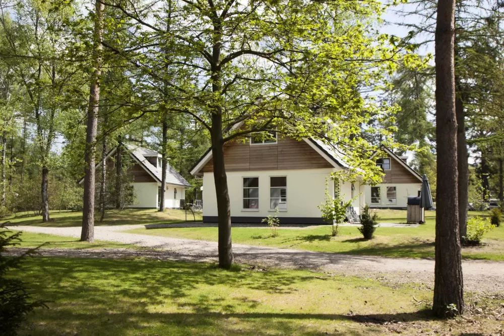RCN Vakantiepark het Grote Bos 4 étoiles★★★★