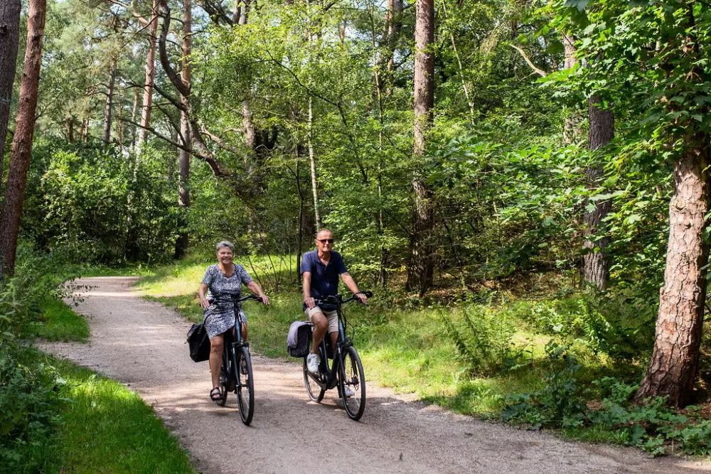 RCN Vakantiepark het Grote Bos 4 étoiles★★★★
