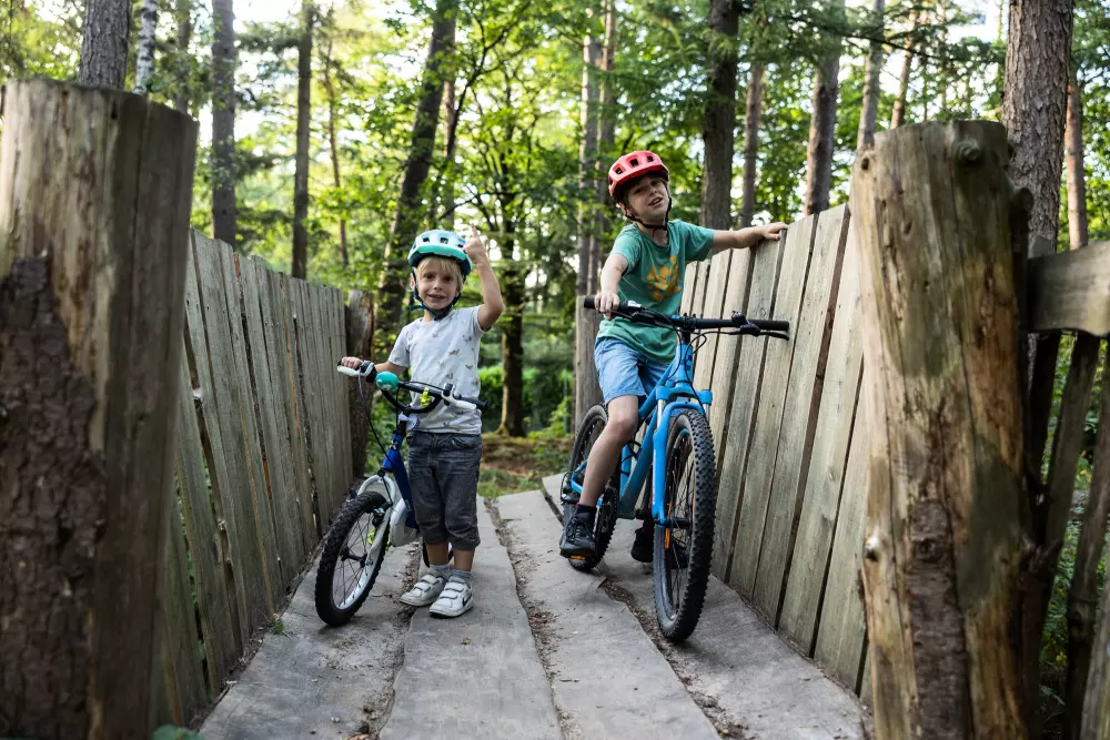RCN Vakantiepark het Grote Bos 4 étoiles★★★★