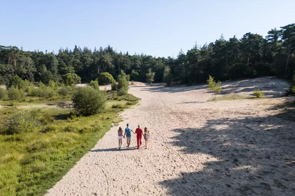 RCN Vakantiepark het Grote Bos 4 étoiles★★★★