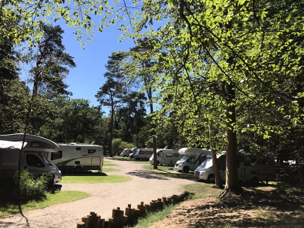 RCN Vakantiepark het Grote Bos 4 étoiles★★★★