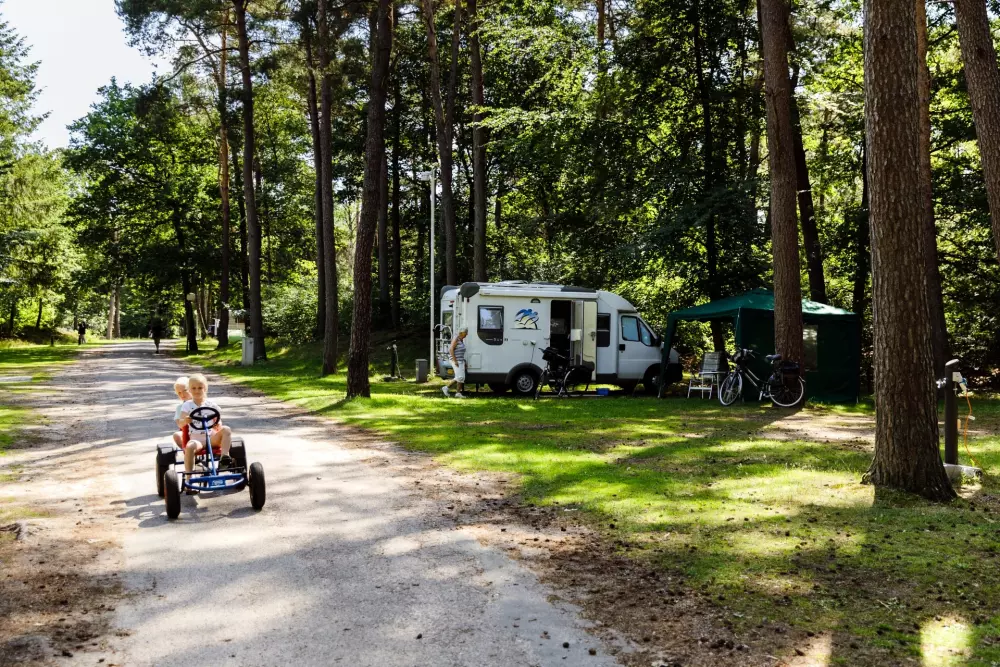 RCN Vakantiepark het Grote Bos 4 étoiles★★★★