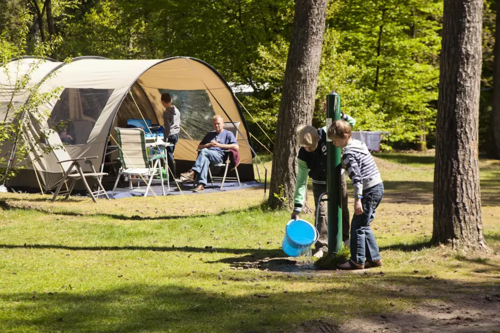 RCN Vakantiepark het Grote Bos 4 étoiles★★★★