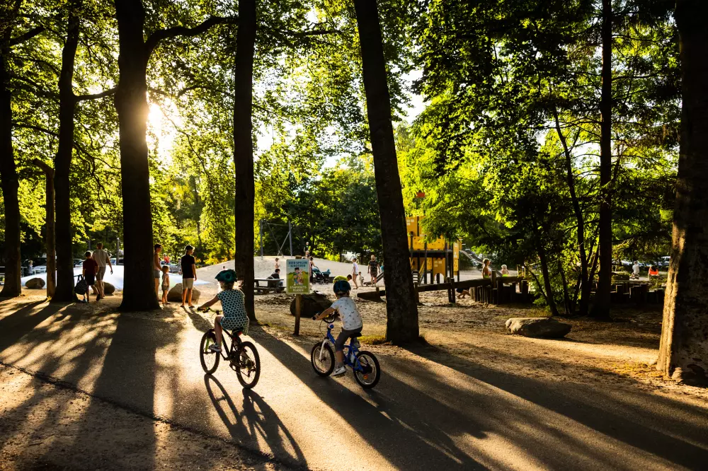 RCN Vakantiepark het Grote Bos 4 étoiles★★★★