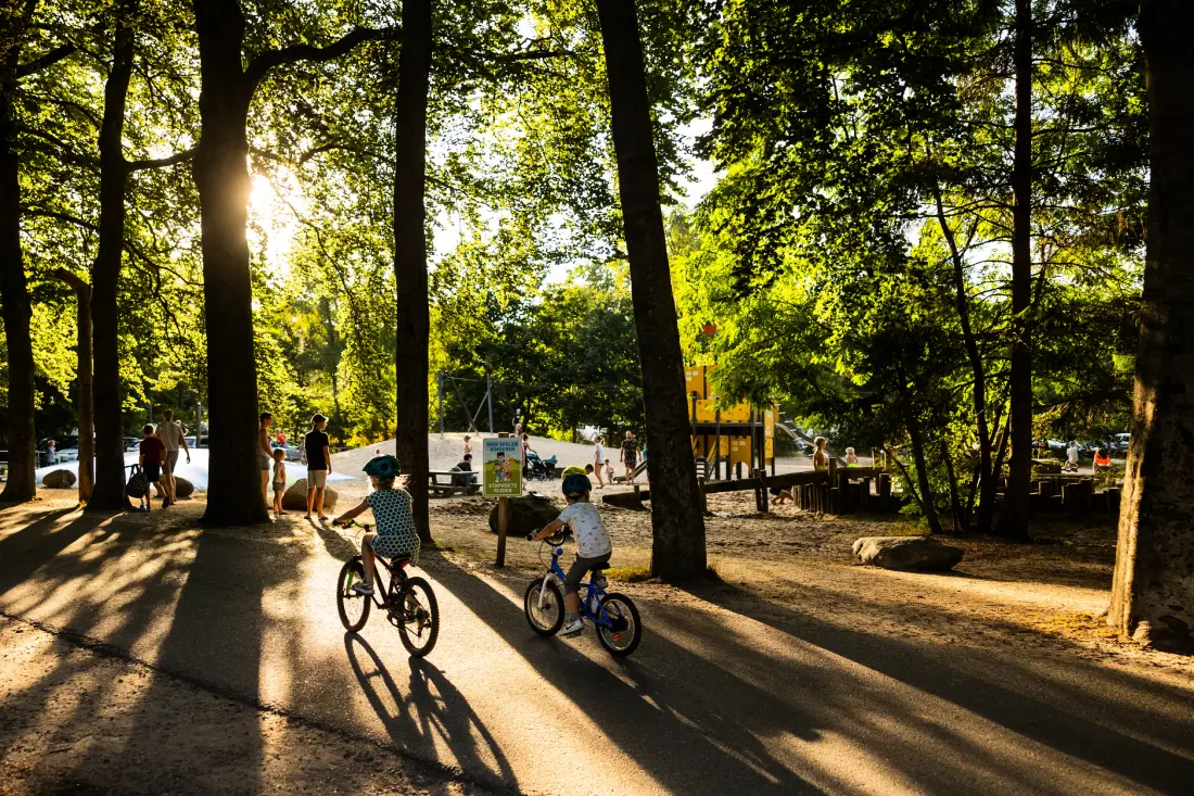 RCN Vakantiepark het Grote Bos 4 étoiles★★★★