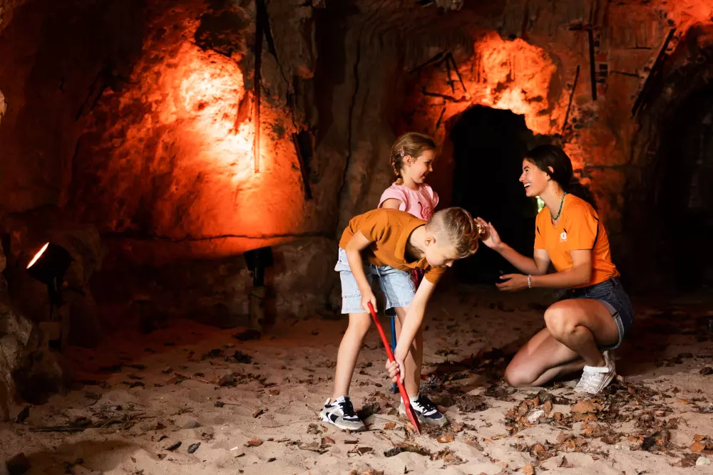 RCN Vakantiepark het Grote Bos 4 étoiles★★★★