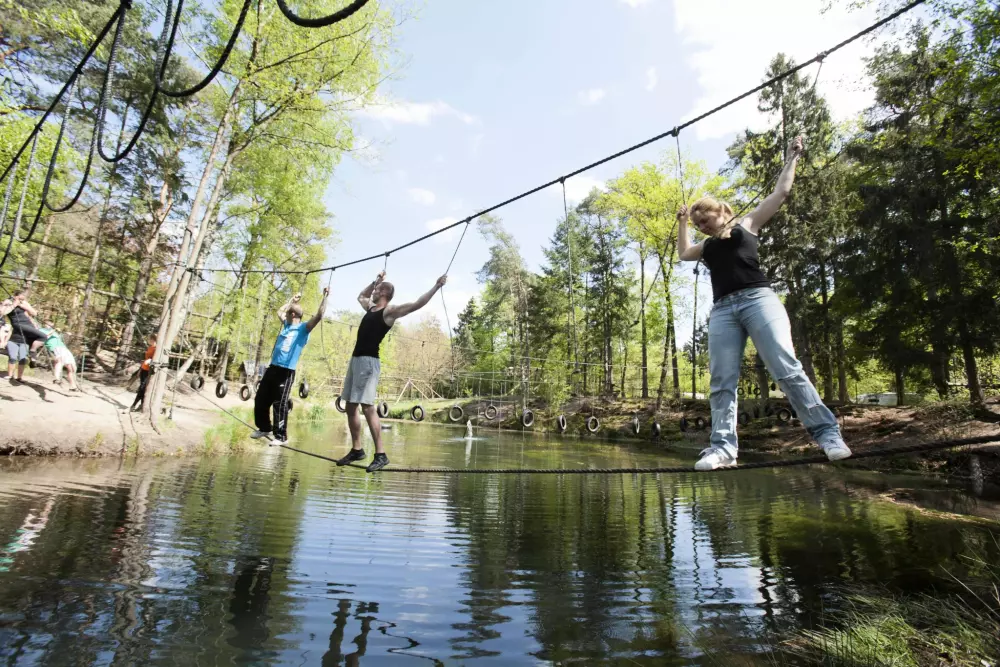 RCN Vakantiepark het Grote Bos 4 étoiles★★★★