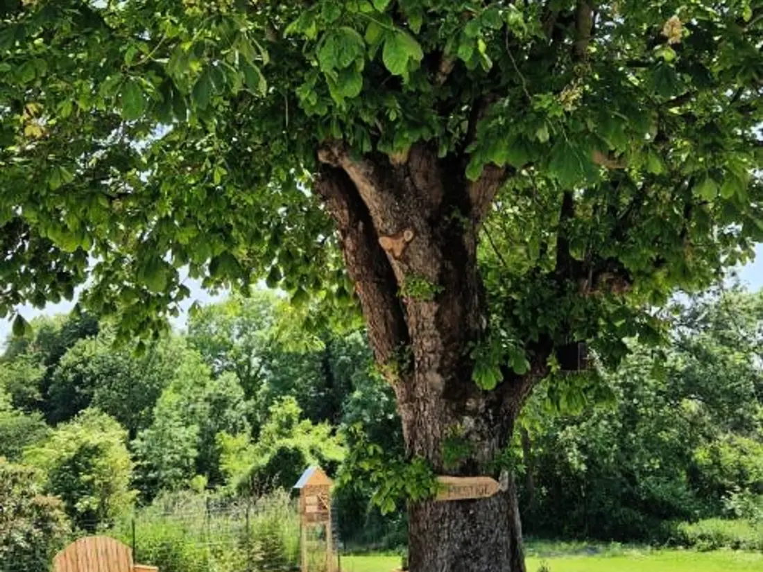 Maison de Vacances Dosches 6