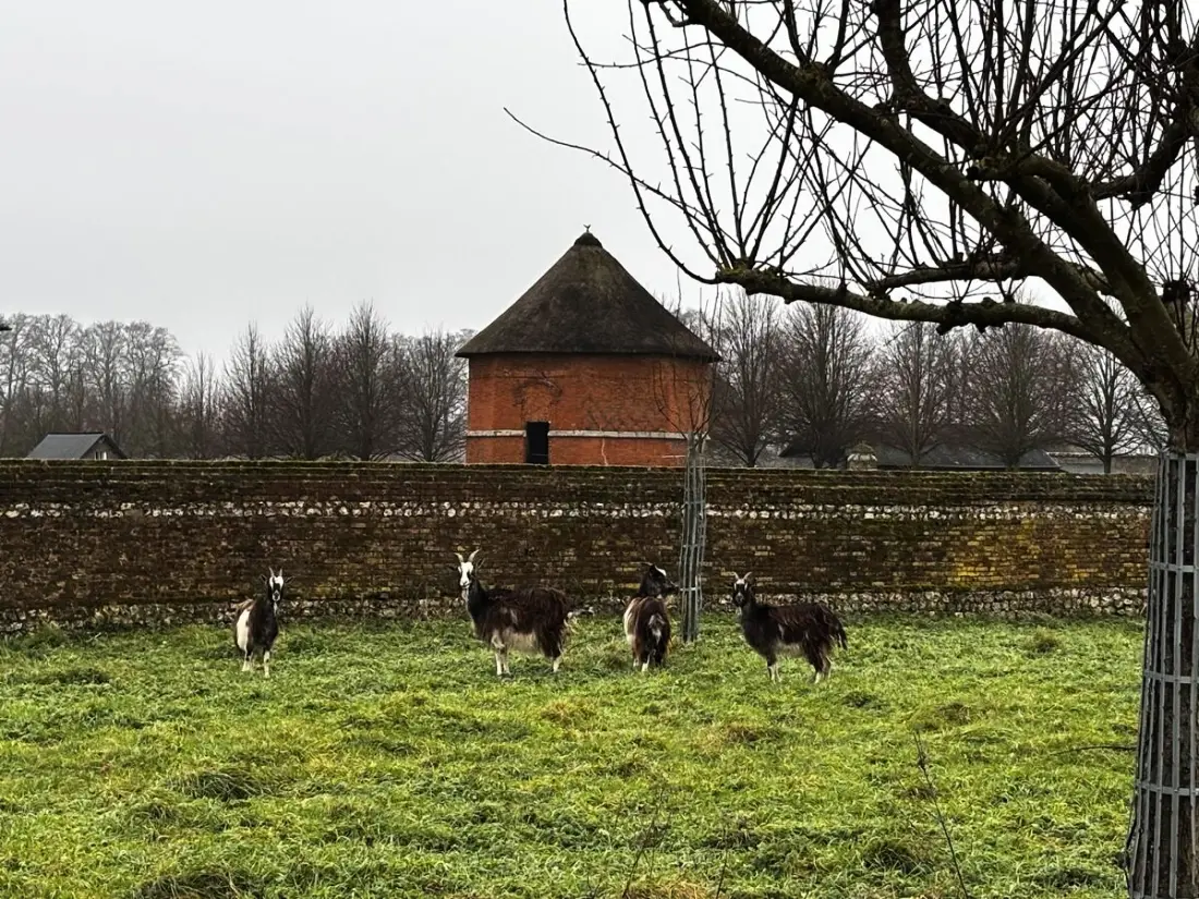 Gîte de France Gîtes de france® - la maison d'armand 4 épis