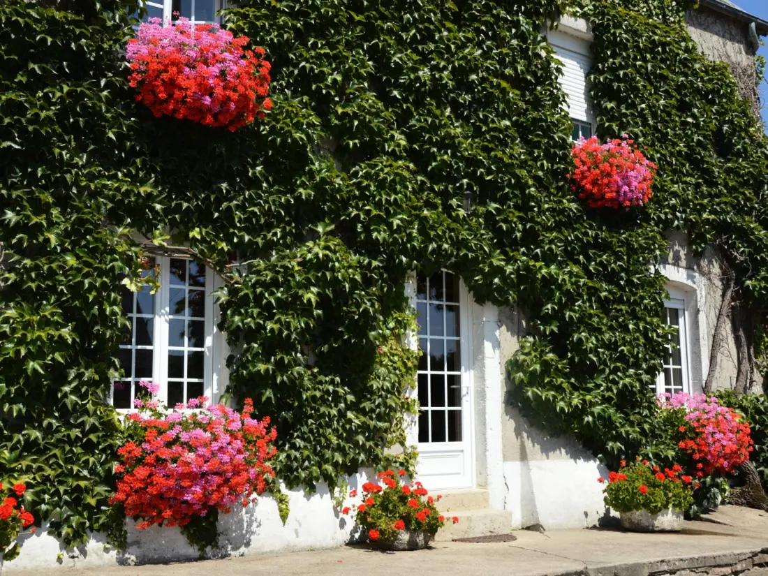 Maison de Vacances DOVILLE