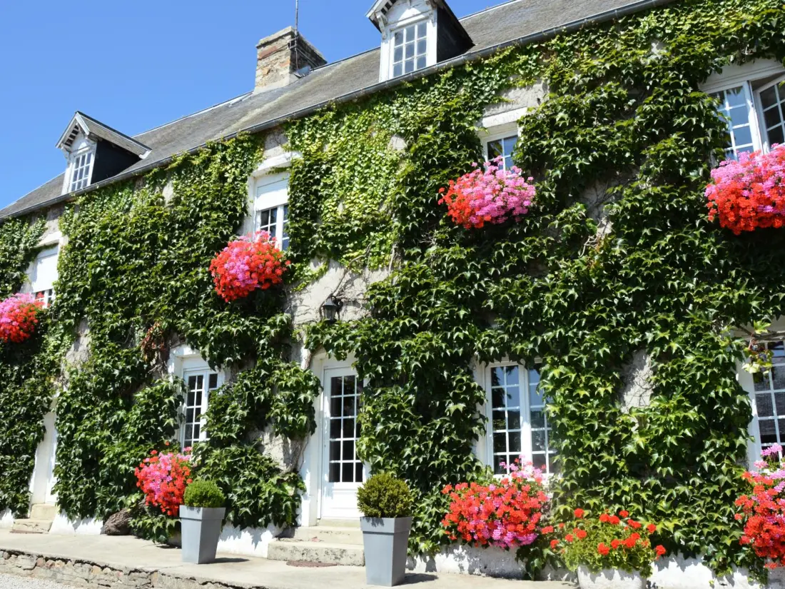 Maison de Vacances DOVILLE