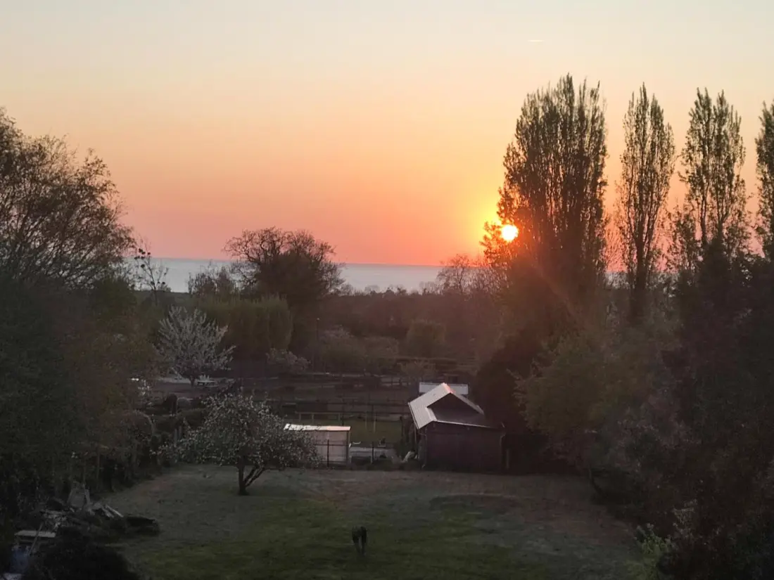 Maison de Vacances Dragey-Ronthon 11