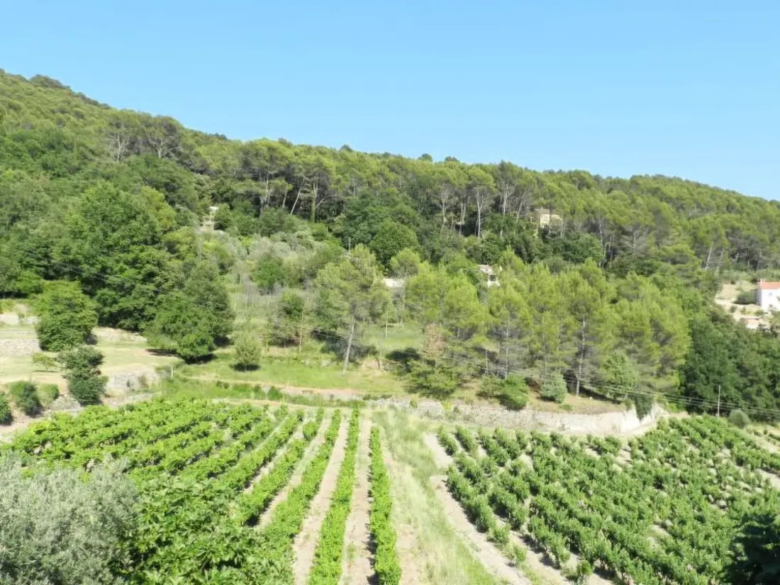 Maison de Vacances Draguignan