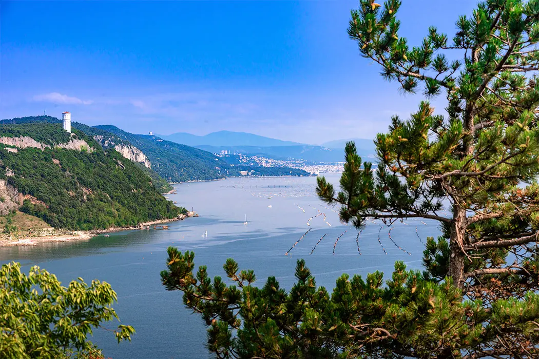 Camping Mare Pineta