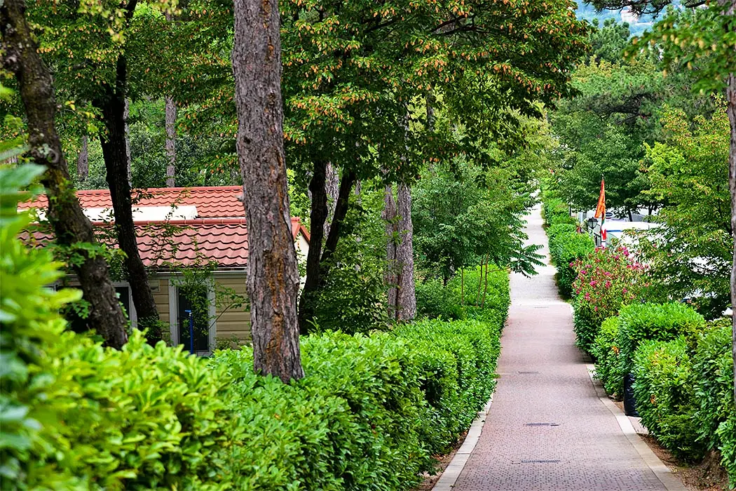 Camping Mare Pineta