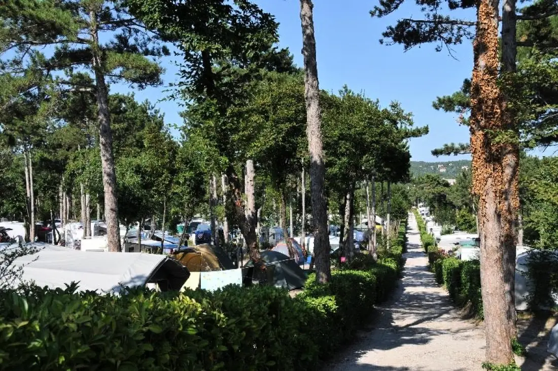 Baia Holiday Mare Pineta 4 étoiles★★★★