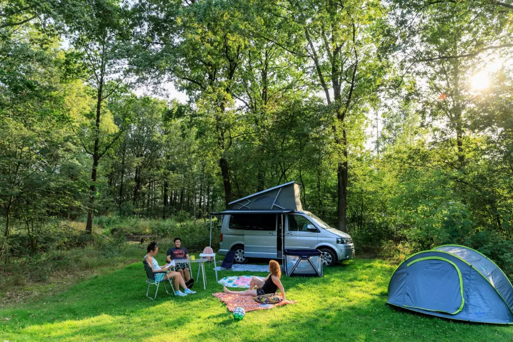 RCN Vakantiepark de Noordster 4 étoiles★★★★