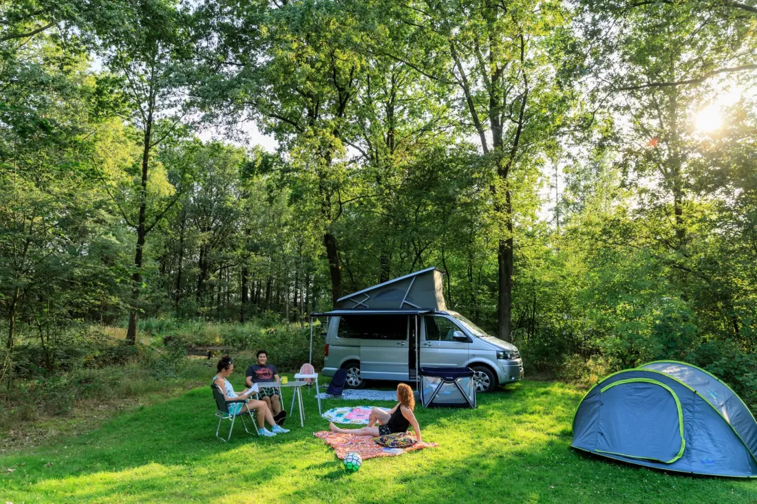 RCN Vakantiepark de Noordster 4 étoiles★★★★