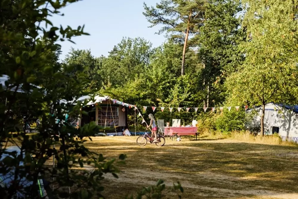 RCN Vakantiepark de Noordster 4 étoiles★★★★