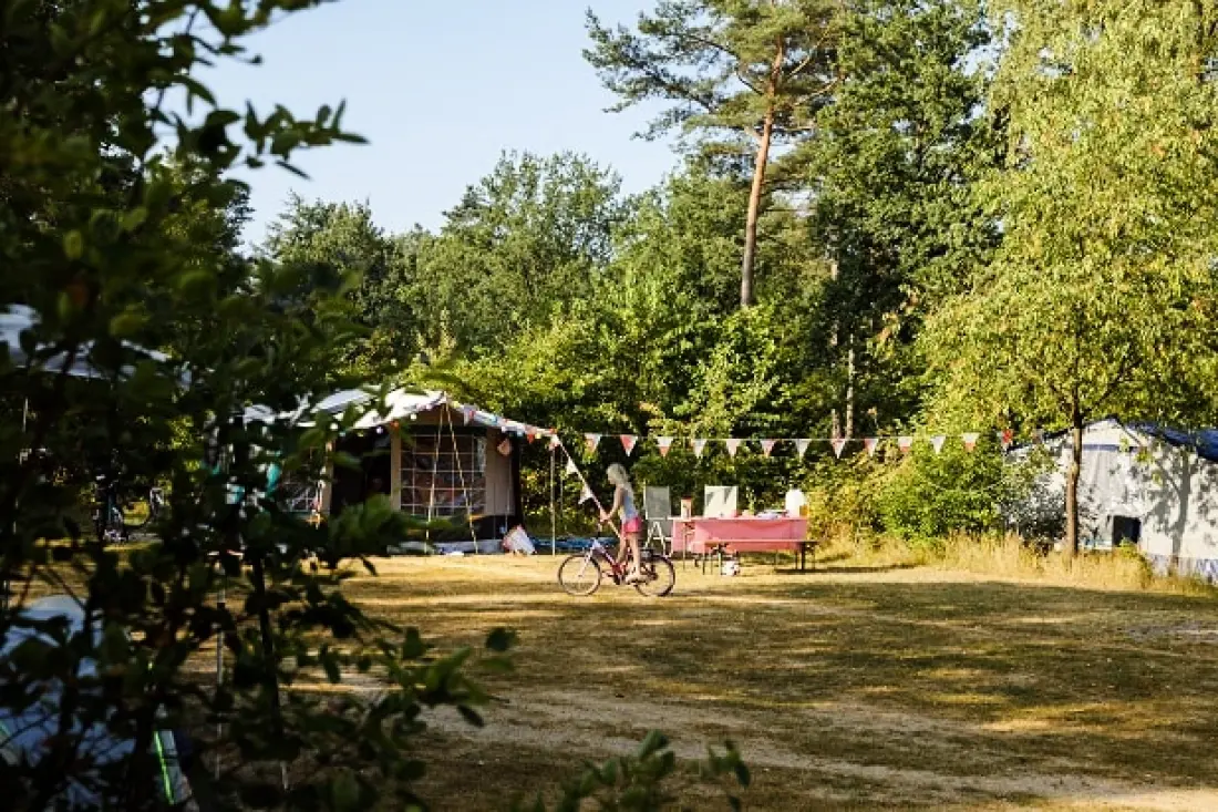 RCN Vakantiepark de Noordster 4 étoiles★★★★