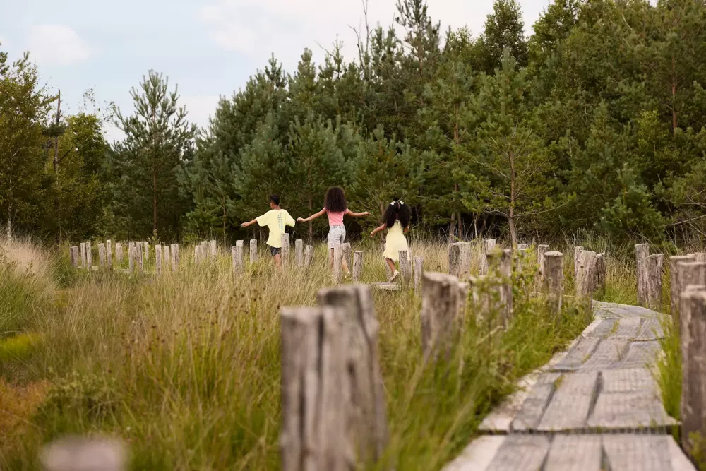 RCN Vakantiepark de Noordster 4 étoiles★★★★