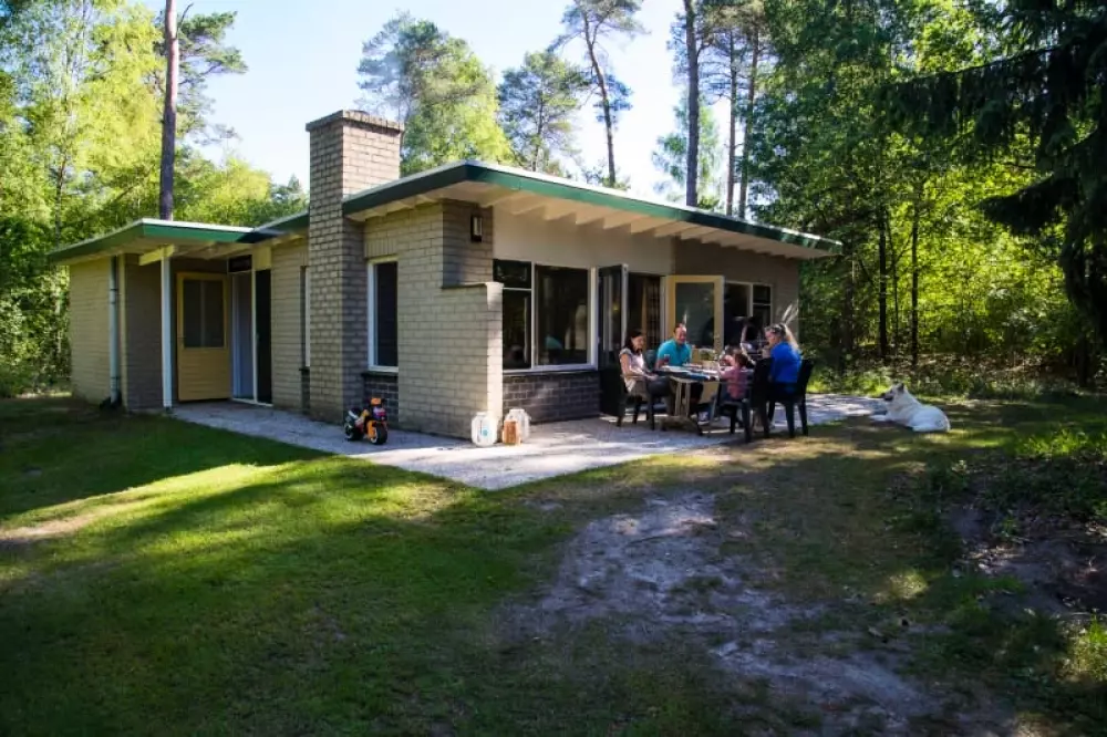 RCN Vakantiepark de Noordster 4 étoiles★★★★